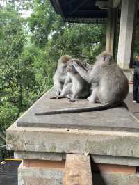 Bali 3 Days Travel Guide 