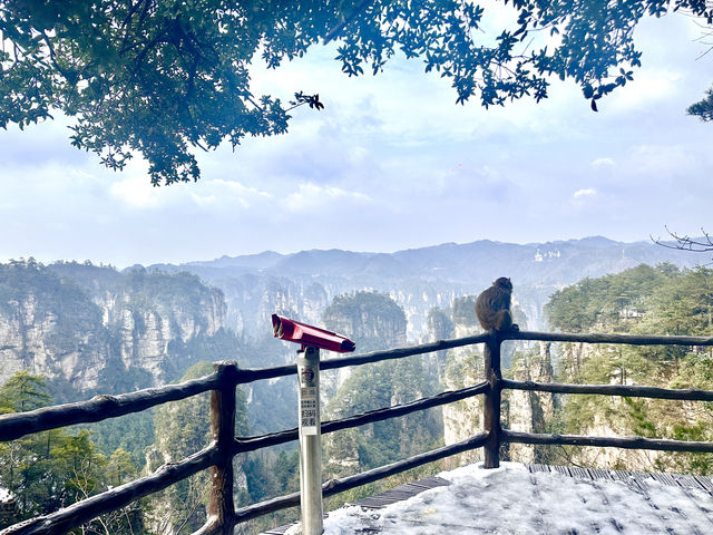 三月淡季遊張家界，晴雪交融絕美雙景