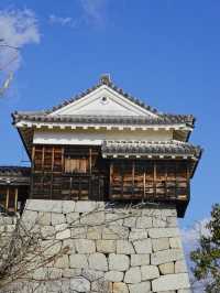 四國松山｜愛媛除了道後溫泉，還有松山城