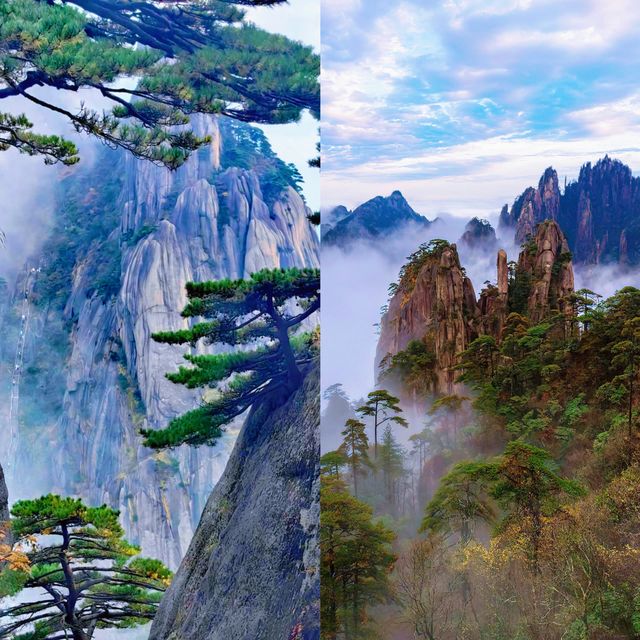 一生總要去一趟黃山吧，赴一場與山河的浪漫之約