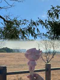 杭州週末好去處｜良渚文化遺址公園限時免費攻略