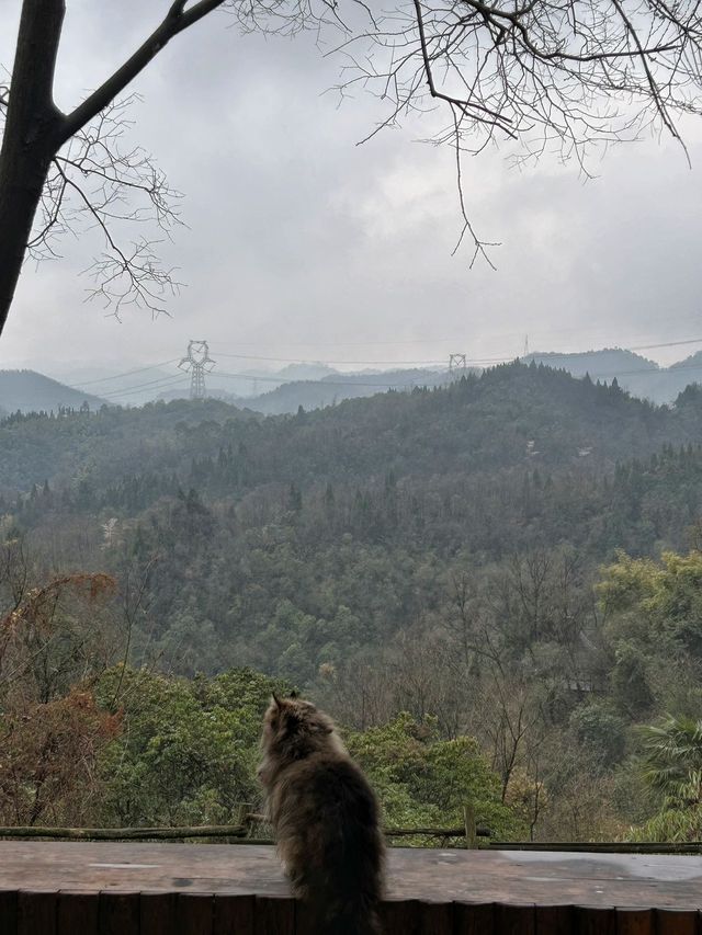 成都周邊｜春日去山裏小住吧！