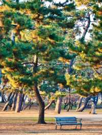 濱寺公園的悠然時光