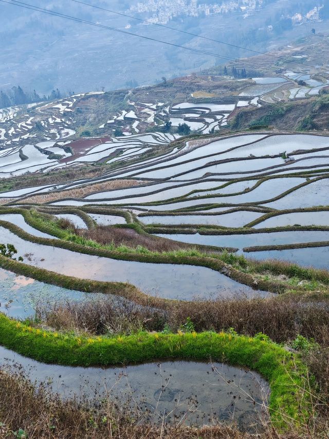 玉溪-紅河長者旅行攻略 輕鬆玩轉兩地