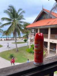 Travel Tips for Redang Island, Malaysia