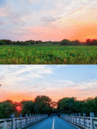 Jinhu Wetland Park Travel Guide: An Ecological Retreat in Taonan, Baicheng