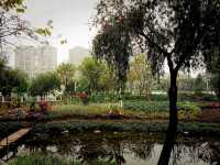 Romantic Spring in Charming Foshan: Public Parks as Shelters of Tranquility