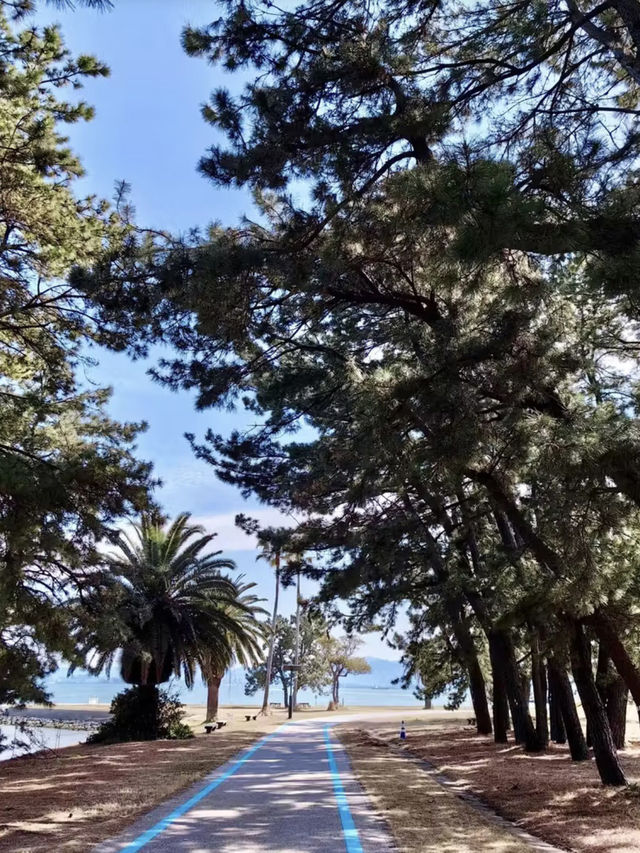海風與繁花的輕語——海之中道海濱公園與能古島