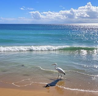 Mindil Beach Travel Guide, Darwin, Australia