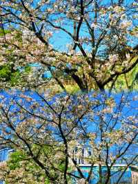 福州百林公園遊玩攻略