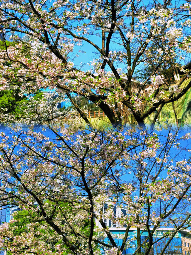 福州百林公園遊玩攻略