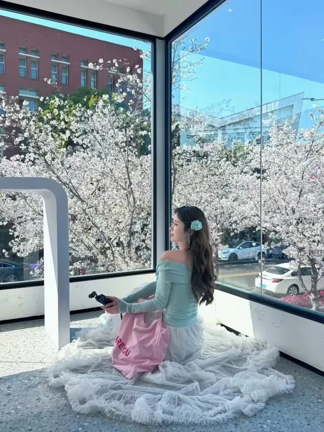 A Spring Letter from Nanjing: A Romantic Encounter with Cherry Blossoms