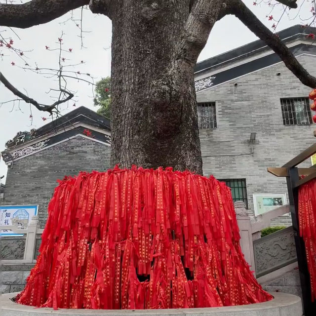 🏯中山隱藏寶藏古寺|邂逅寧靜與虔誠