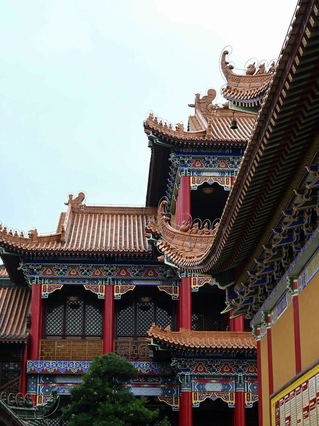 珠海金台寺：塵世外的清淨佛國#