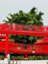深圳最美的虹橋公園！！