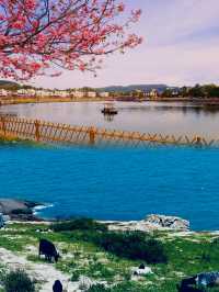 莆田躺平式一日遊，強烈推薦這座城市