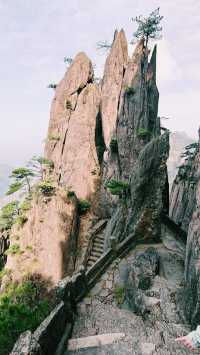 「黃山歸來不看嶽」