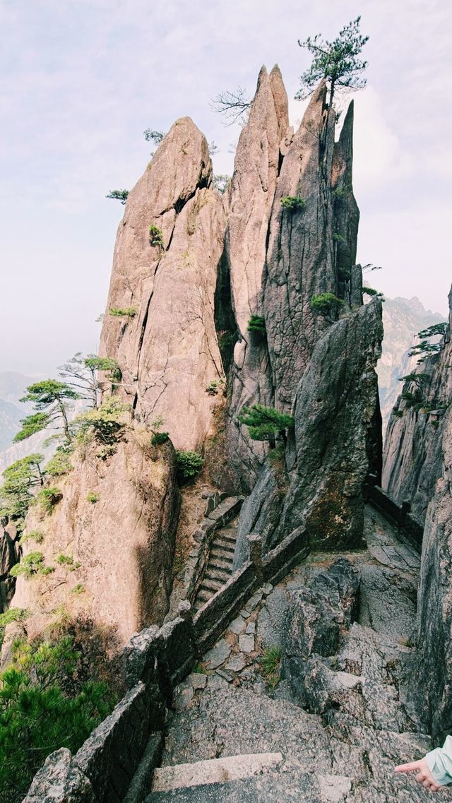 「黃山歸來不看嶽」 「黃山歸來不看嶽」