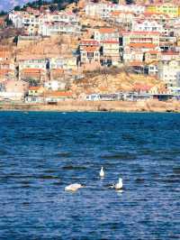 淡季人好少啊青島，真心建議3-4月去
