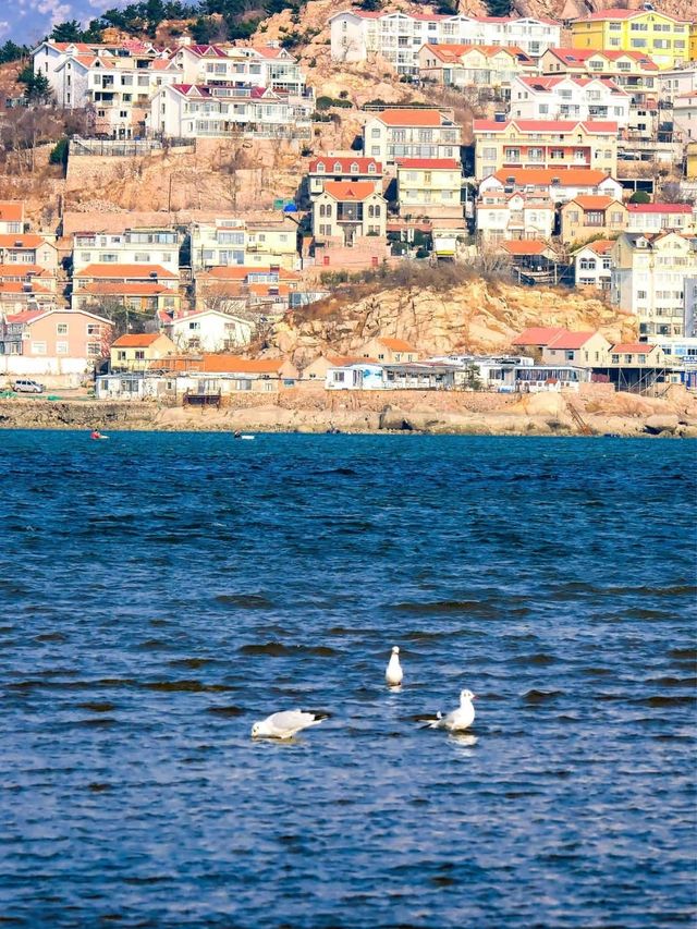淡季人好少啊青島，真心建議3-4月去