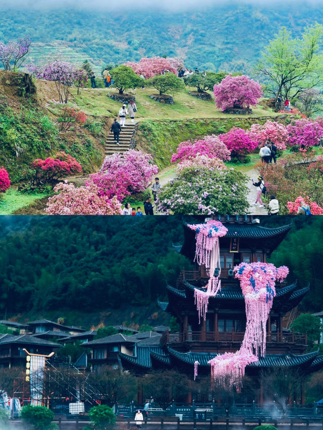 【江西必玩景點：大自然的PS大神在這裡】