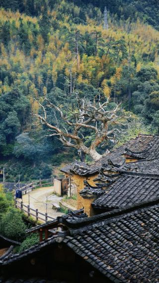 Why Songyang's Scenery Captivates Hearts