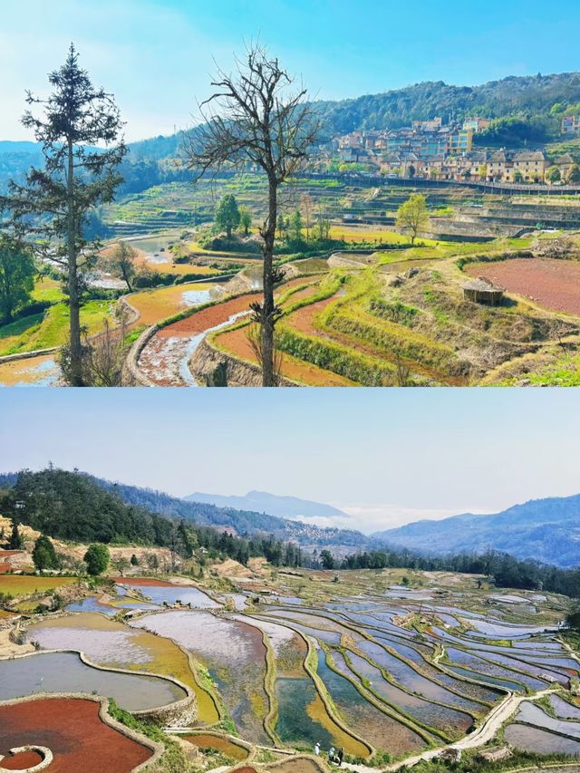 探索雲南紅河的梯田秘境
