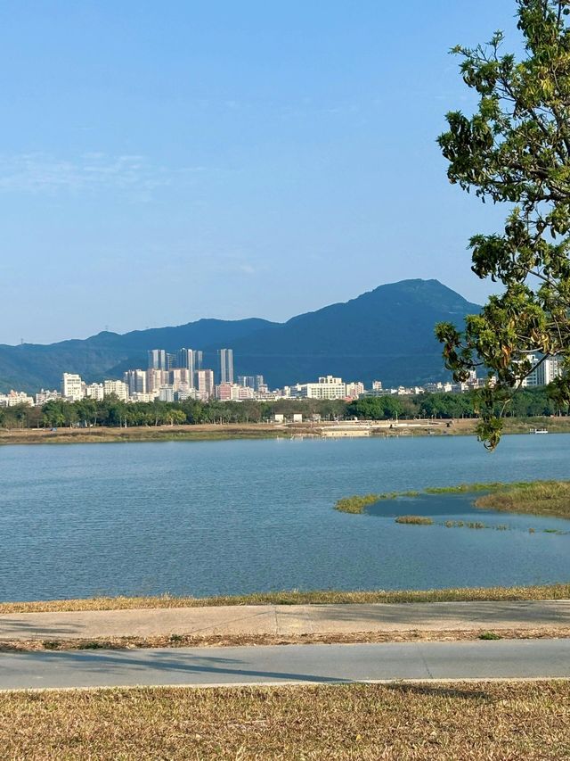 石岩湖濕地公園 | 環湖徒步騎行天花板