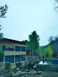 春雨洗禮，隱北•達摩民宿的綠野仙蹤