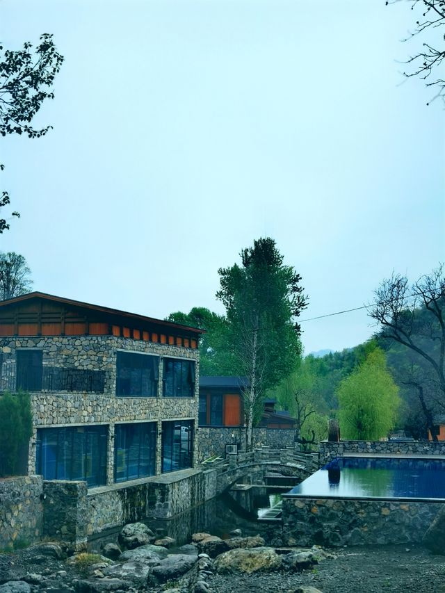 春雨洗禮，隱北•達摩民宿的綠野仙蹤