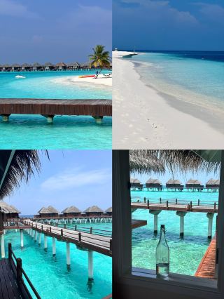 My Maldives Experience After Seven Days