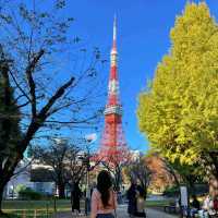 東京旅行打卡｜這些景點不能錯過！🇯🇵