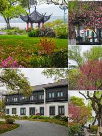 西湖嘅桃花美景，承包成個春天嘅粉紅邂逅