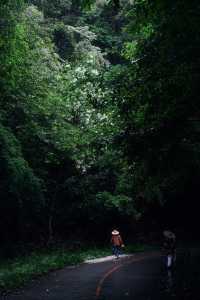 ——喺自然秘境中,喚醒生活嘅詩意