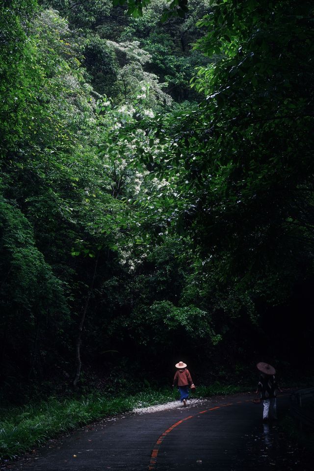 ——喺自然秘境中,喚醒生活嘅詩意 ——喺自然秘境中,喚醒生活嘅詩意