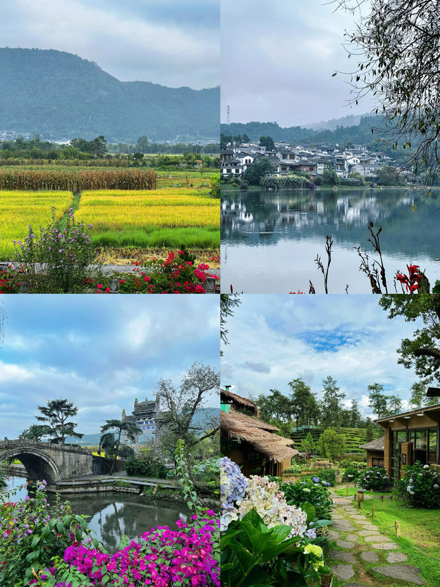 藤衝情侶的浪漫私奔之旅