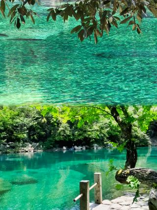 Hidden gems in southern Anhui! The ultimate spring outing!!!