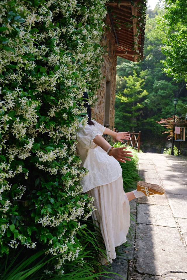 三清山居民宿｜住進鄉野自然，擁抱這夏天的風車茉莉