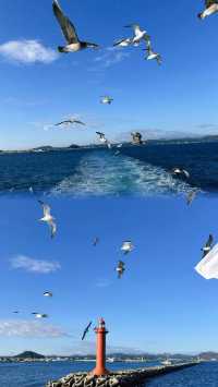 牛島| 苦盡柑來遇見你