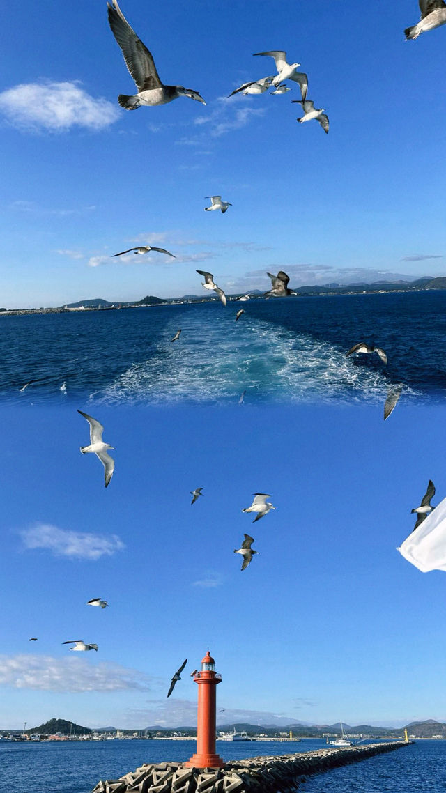牛島| 苦盡柑來遇見你