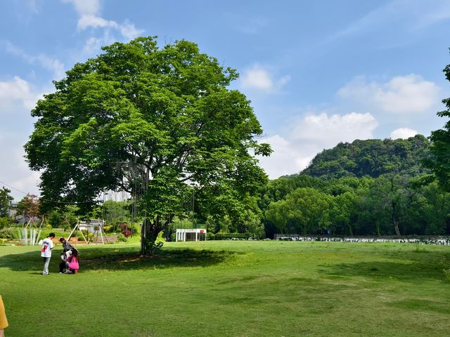 煙雨江南，烈日當空嘅紹興