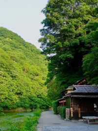 暑假推薦！京都奈良親子遊，餵小鹿坐火車