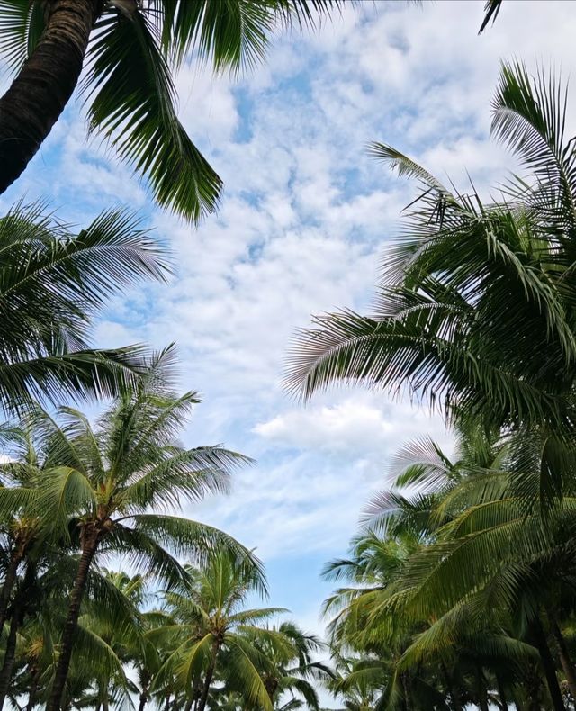 海棠灣香格里拉