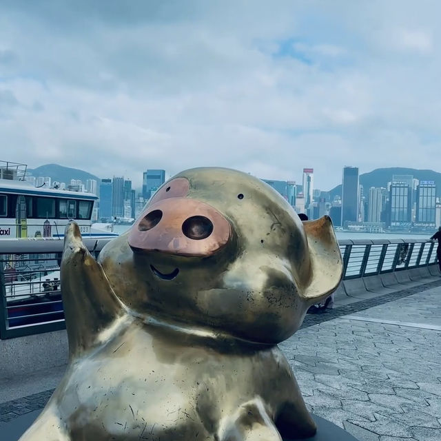 週末從澳門出發香港！K11 一站式藝術購物盛宴✨衝！