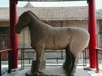 Step into China’s Past for Free: Xi’an Beilin Museum’s Open Door Days
