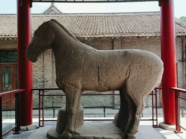 Step into China’s Past for Free: Xi’an Beilin Museum’s Open Door Days