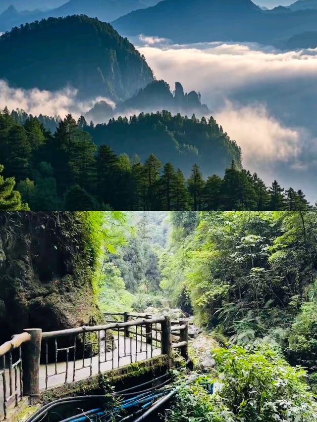 凌晨4點爬峨眉山，見到呢一幕我直接跪低！