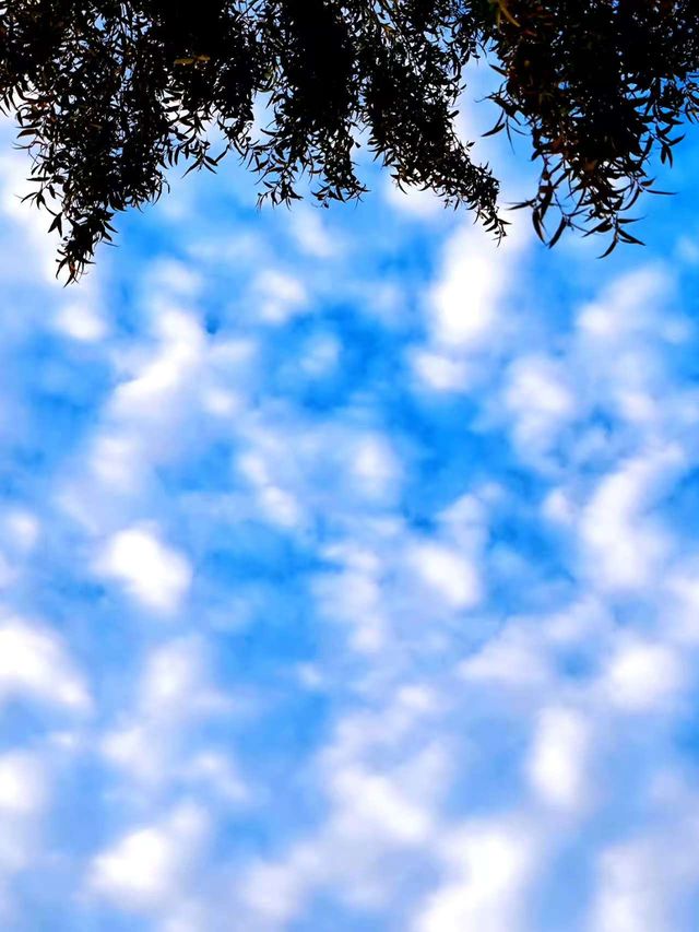 西湖打卡 | 直接慳出上千嘅寫真館耶