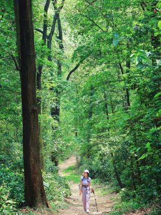 Hey, Baiyun Mountain has a new hiking spot—Liurong Trail!