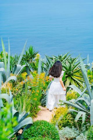 The Most Successful Trend on Weizhou Island: The Spring-Summer Cliffside Garden